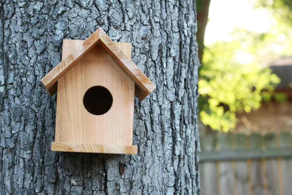 Birdhouse from One Cedar Fence Picket