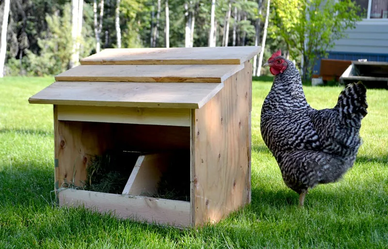 Range Nesting Box