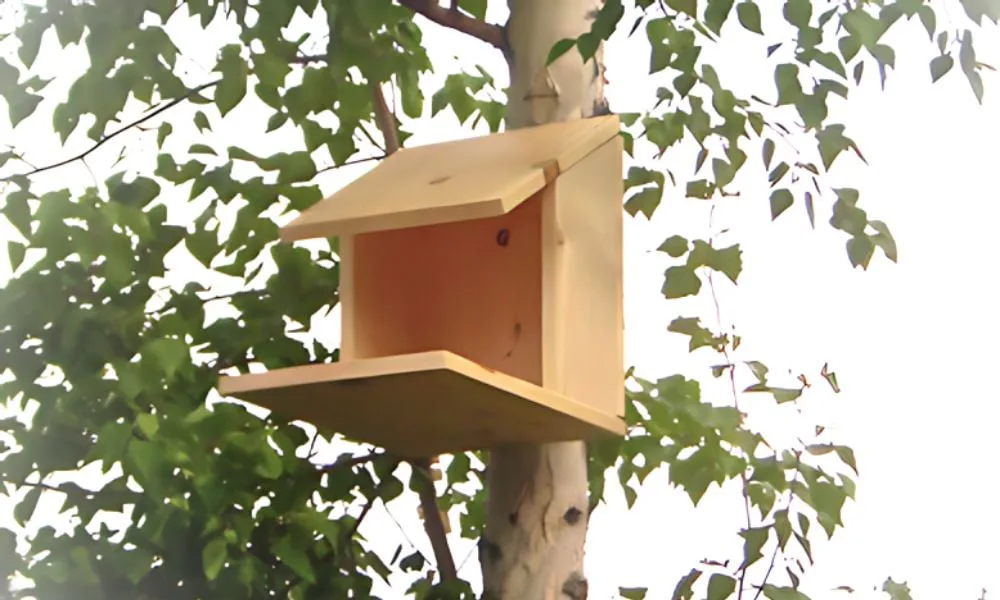 Large Open Bird Nesting House