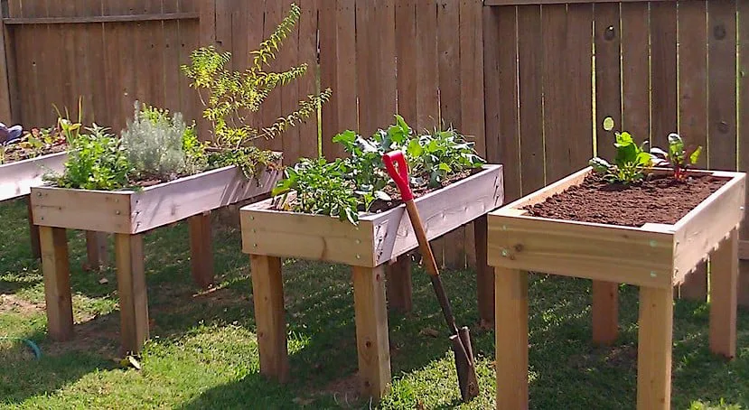 Simple Raised Garden Boxes by Janet Fox