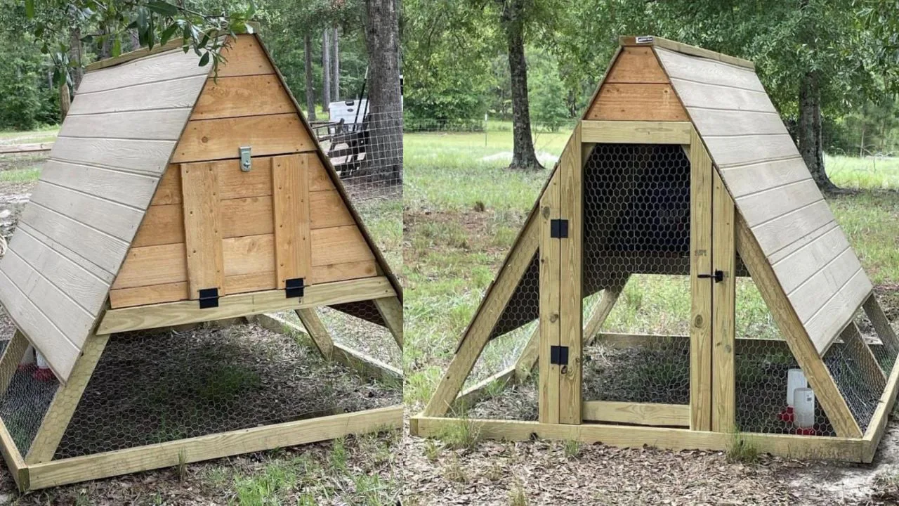 Updated A Frame Chicken Coop